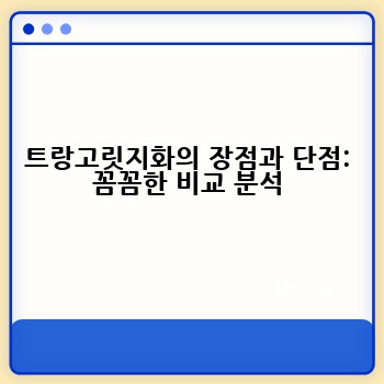 트랑고릿지화의 장점과 단점: 꼼꼼한 비교 분석