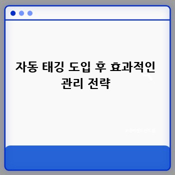 자동 태깅 도입 후 효과적인 관리 전략