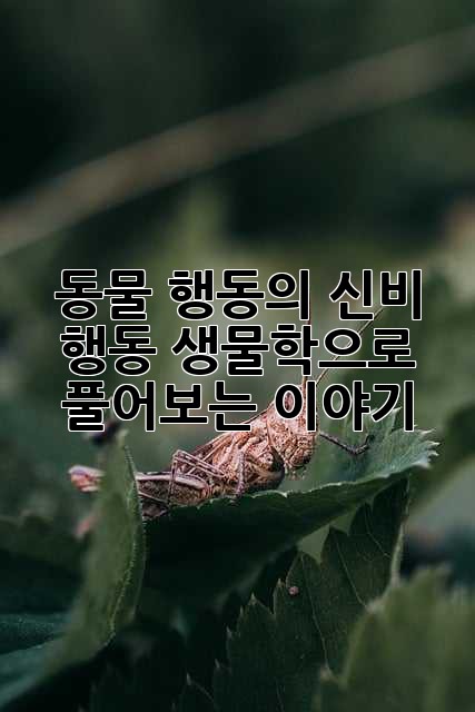 동물 행동의 신비: 행동 생물학으로 풀어보는 이야기