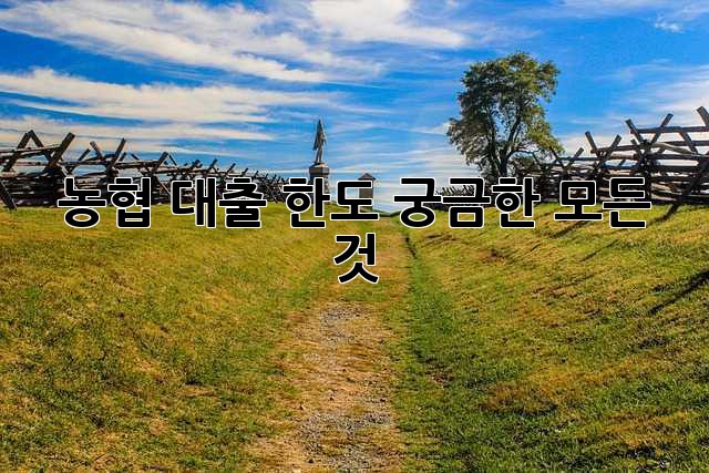 농협 대출 한도, 궁금한 모든 것!