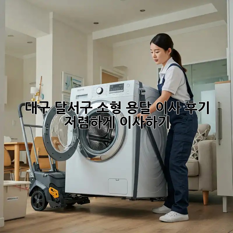 대구 달서구 소형 용달 이사 후기: 저렴하게 이사하기!
