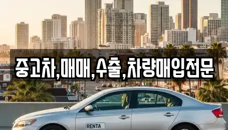 중고차,매매,수출,차량매입전문