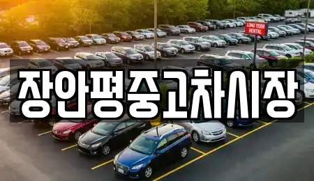 장안평중고차시장