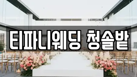 티파니웨딩 청솔밭