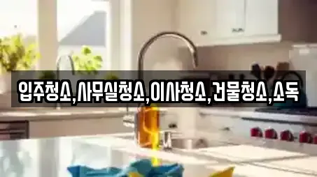 입주청소,사무실청소,이사청소,건물청소,소독