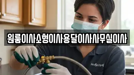 원룸이사소형이사용달이사사무실이사