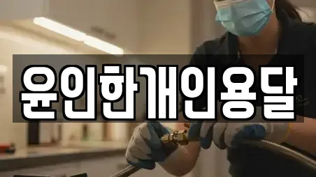 윤인한개인용달