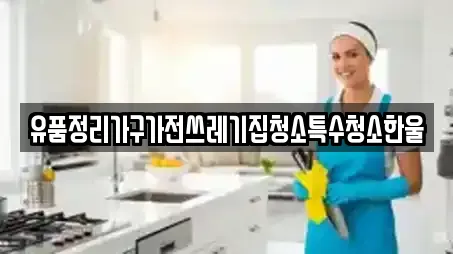 유품정리가구가전쓰레기집청소특수청소한울