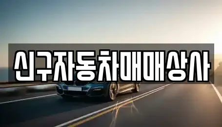 신구자동차매매상사