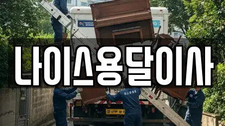 나이스용달이사