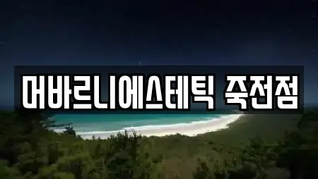 머바르니에스테틱 죽전점