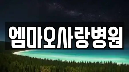 엠마오사랑병원