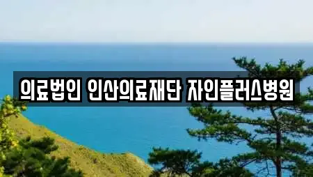 의료법인 인산의료재단 자인플러스병원