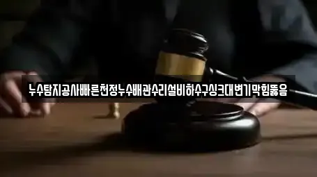 누수탐지공사빠른천정누수배관수리설비하수구싱크대변기막힘뚫음