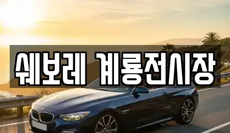 쉐보레 계룡전시장