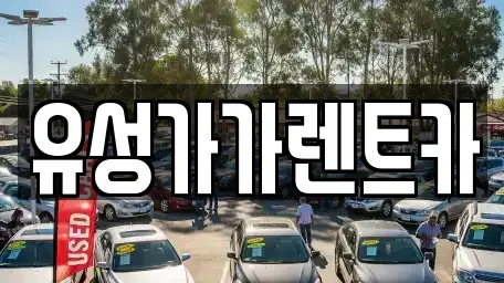 유성가가렌트카