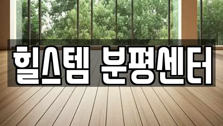 힐스템 분평센터