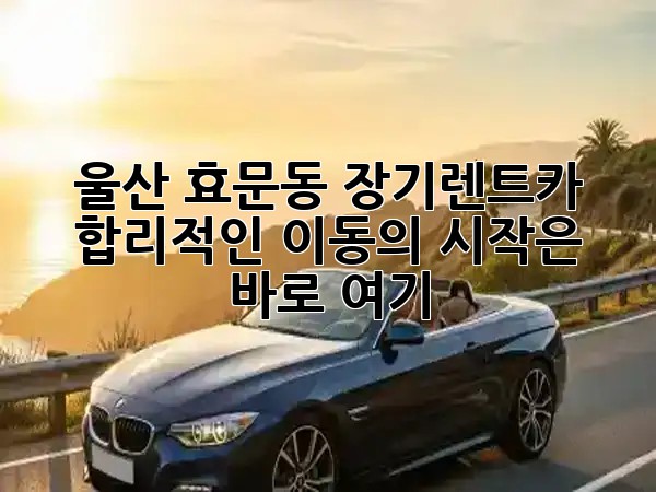 울산 효문동 장기렌트카, 합리적인 이동의 시작은 바로 여기! 🚗✨
