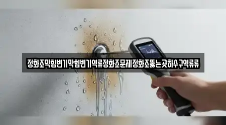 경기 구리 갈매동 하수구 역류 추천 5 주소