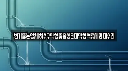 변기뚫는업체하수구막힘뚫음싱크대막힘역류세면대수리