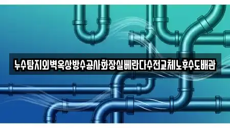 누수탐지외벽옥상방수공사화장실베란다수전교체노후수도배관