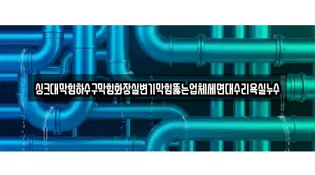 싱크대막힘하수구막힘화장실변기막힘뚫는업체세면대수리욕실누수