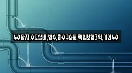 누수탐지,수도설비,방수,하수구소통,책임보험3억,가건누수