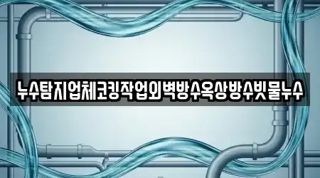누수탐지업체코킹작업외벽방수옥상방수빗물누수