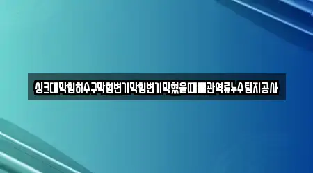 싱크대막힘하수구막힘변기막힘변기막혔을때배관역류누수탐지공사