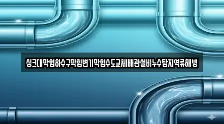 싱크대막힘하수구막힘변기막힘수도교체배관설비누수탐지역류해빙