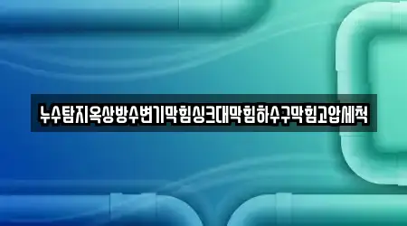 누수탐지옥상방수변기막힘싱크대막힘하수구막힘고압세척
