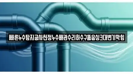 빠른누수탐지공사천정누수배관수리하수구뚫음싱크대변기막힘