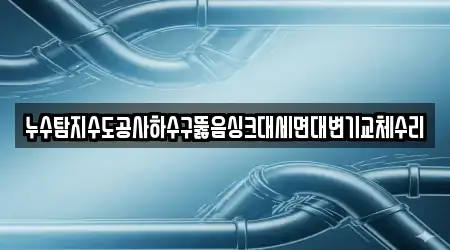 누수탐지수도공사하수구뚫음싱크대세면대변기교체수리