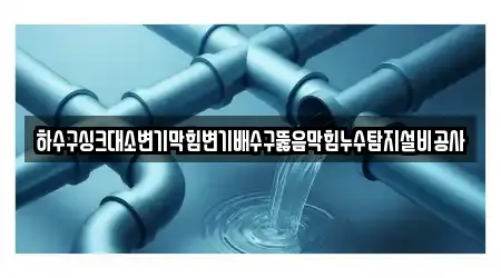 하수구싱크대소변기막힘변기배수구뚫음막힘누수탐지설비공사