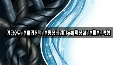 긴급수도누수빌라주택누수천장베란다욕실화장실누수하수구막힘