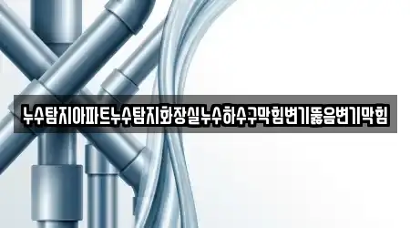 누수탐지아파트누수탐지화장실누수하수구막힘변기뚫음변기막힘
