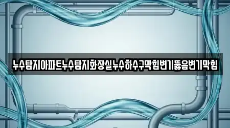 누수탐지아파트누수탐지화장실누수하수구막힘변기뚫음변기막힘