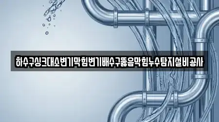 하수구싱크대소변기막힘변기배수구뚫음막힘누수탐지설비공사