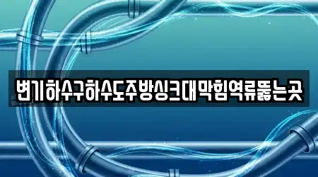 변기하수구하수도주방싱크대막힘역류뚫는곳