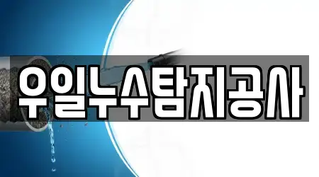 우일누수탐지공사