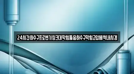 24시간하수구프로변기싱크대막힘뚫음하수구막힘고압세척내시경
