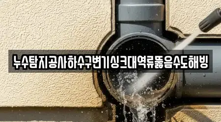 누수탐지공사하수구변기싱크대역류뚫음수도해빙