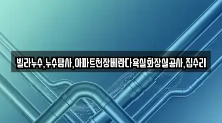 빌라누수,누수탐사,아파트천장베란다욕실화장실공사,집수리