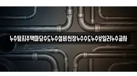 누수탐지주택마당수도누수설비천장누수수도누수보일러누수공사
