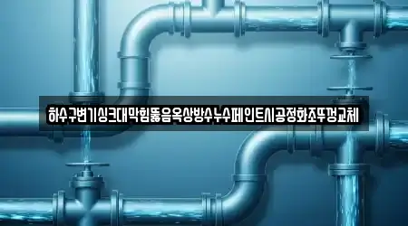 하수구변기싱크대막힘뚫음옥상방수누수페인트시공정화조뚜껑교체