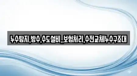 누수탐지,방수,수도설비,,보험처리,수전교체누수구조대