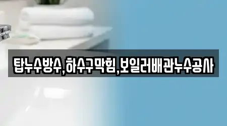 탑누수방수,하수구막힘,보일러배관누수공사