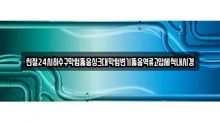 친절24시하수구막힘뚫음싱크대막힘변기뚫음역류고압세척내시경