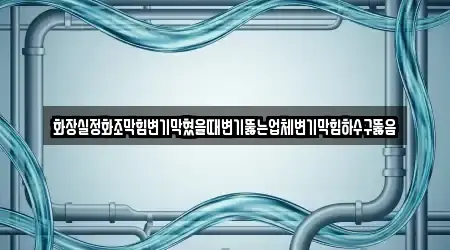 화장실정화조막힘변기막혔을때변기뚫는업체변기막힘하수구뚫음