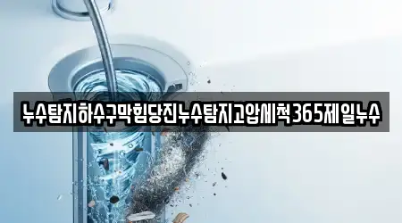 누수탐지하수구막힘당진누수탐지고압세척365제일누수